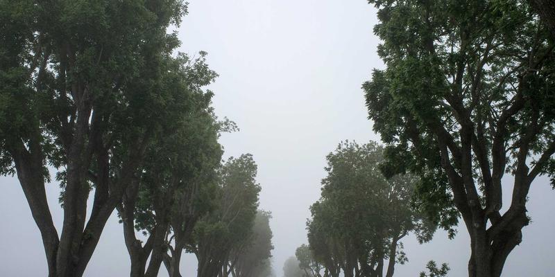 Wi-Fi 6/6E技术深度解析:软件开发与广济网视角下的无线网络性能革命