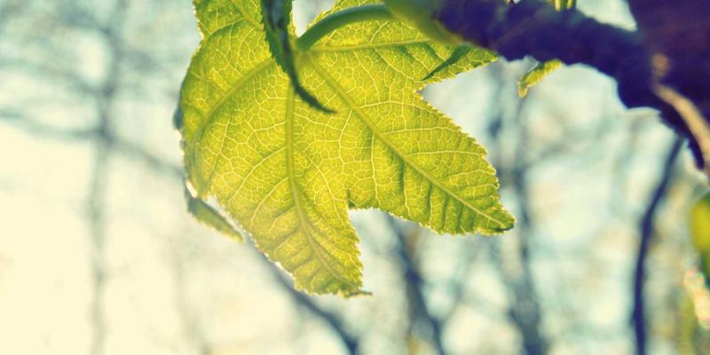 边缘计算与5G融合：构建下一代企业网络的战略蓝图