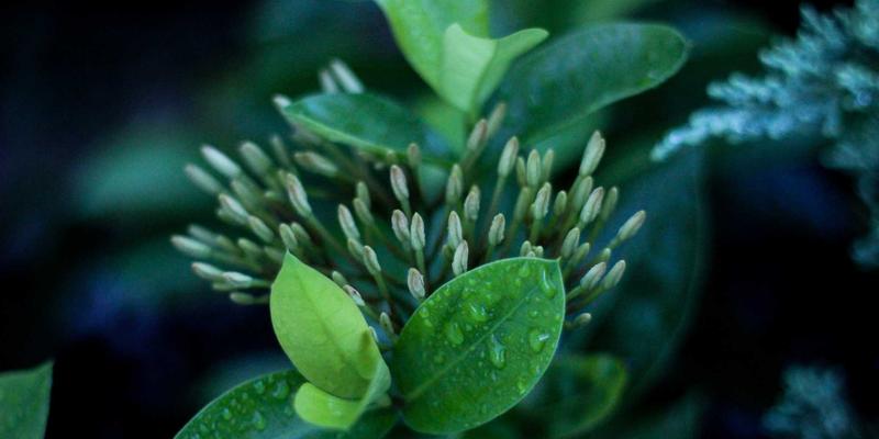 量子保密通信:重塑网络安全的“终极盾牌”与IT解决方案新范式